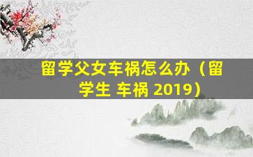 留学父女车祸怎么办（留学生 车祸 2019）